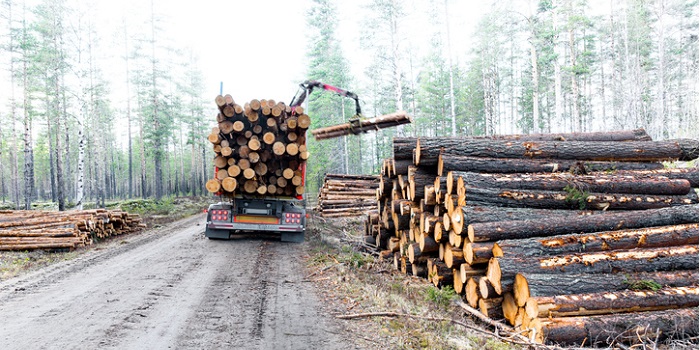 Foto: PinkBadger/Thinkstock
