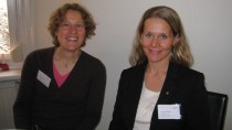 forskarna Wallenberg Academy Fellows