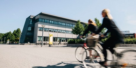 Bild: Jonas Ljungdahl/Linnéuniversitetet