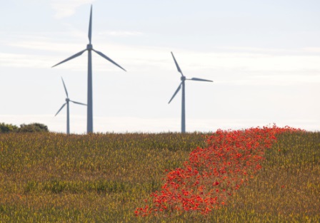 Foto: Bildvision_AB/Thinkstock. Vacker natur och fina miljöer kännetecknar Gotland såväl som många andra svenska glesbygdsregioner. Men fokuserade samarbeten för att utveckla de verksamheter som finns kan leda till bättre ekonomisk bärkraftighet. I "Hållbara Gotland" föreslås bland annat en satsning på såväl Teknik College som en utbyggnad av högskolan.